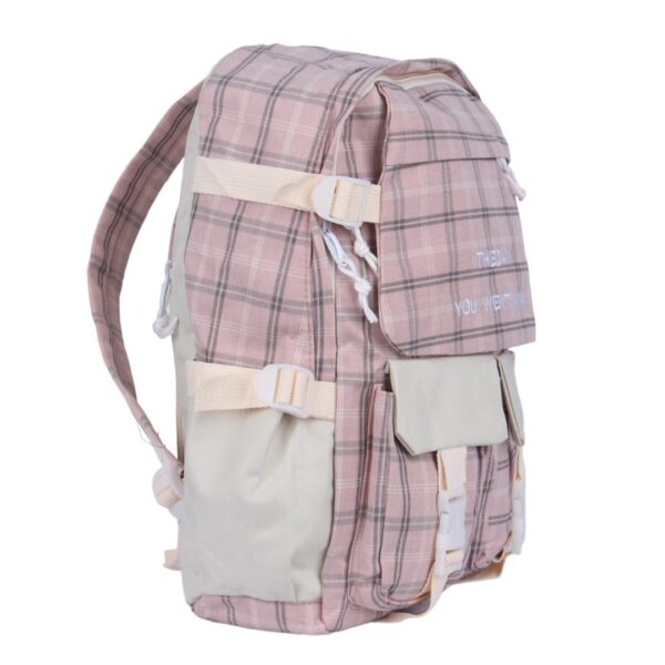 کوله پشتی طرح Burberry ست چهار تکه کد 958 صورتی نمای راست