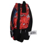 کیف تغزیه طرح lady bug نمای کنار