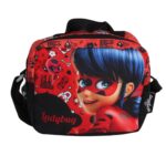کیف تغزیه طرح lady bug نمای رو به رو