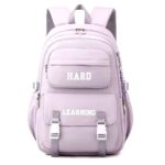 کوله پشتی اسپرت طرح HARD LAERNING رنگ یاسی